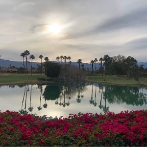 Meet your Posher, Carol